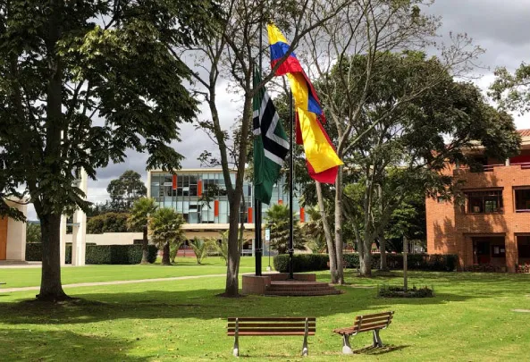 Colegio Los Nogales — photo 1