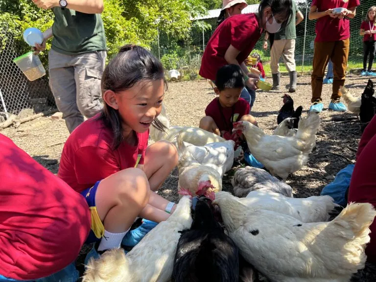Taiwan International Montessori Experimental School — photo 5