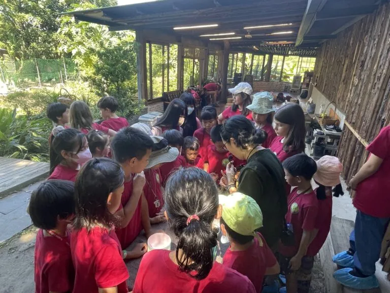 Taiwan International Montessori Experimental School — photo 6