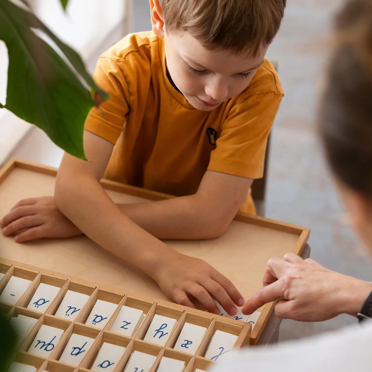 Lipschule — photo 1