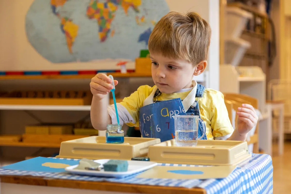 International Montessori Schools — photo 1