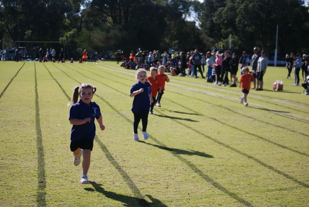 The Non-public Athletic Championship Grammar School in Wronki