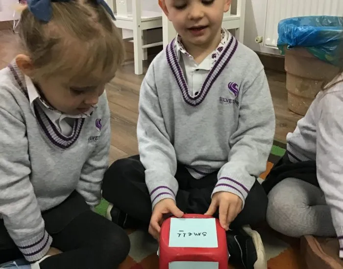 Silverline Private School — photo 4