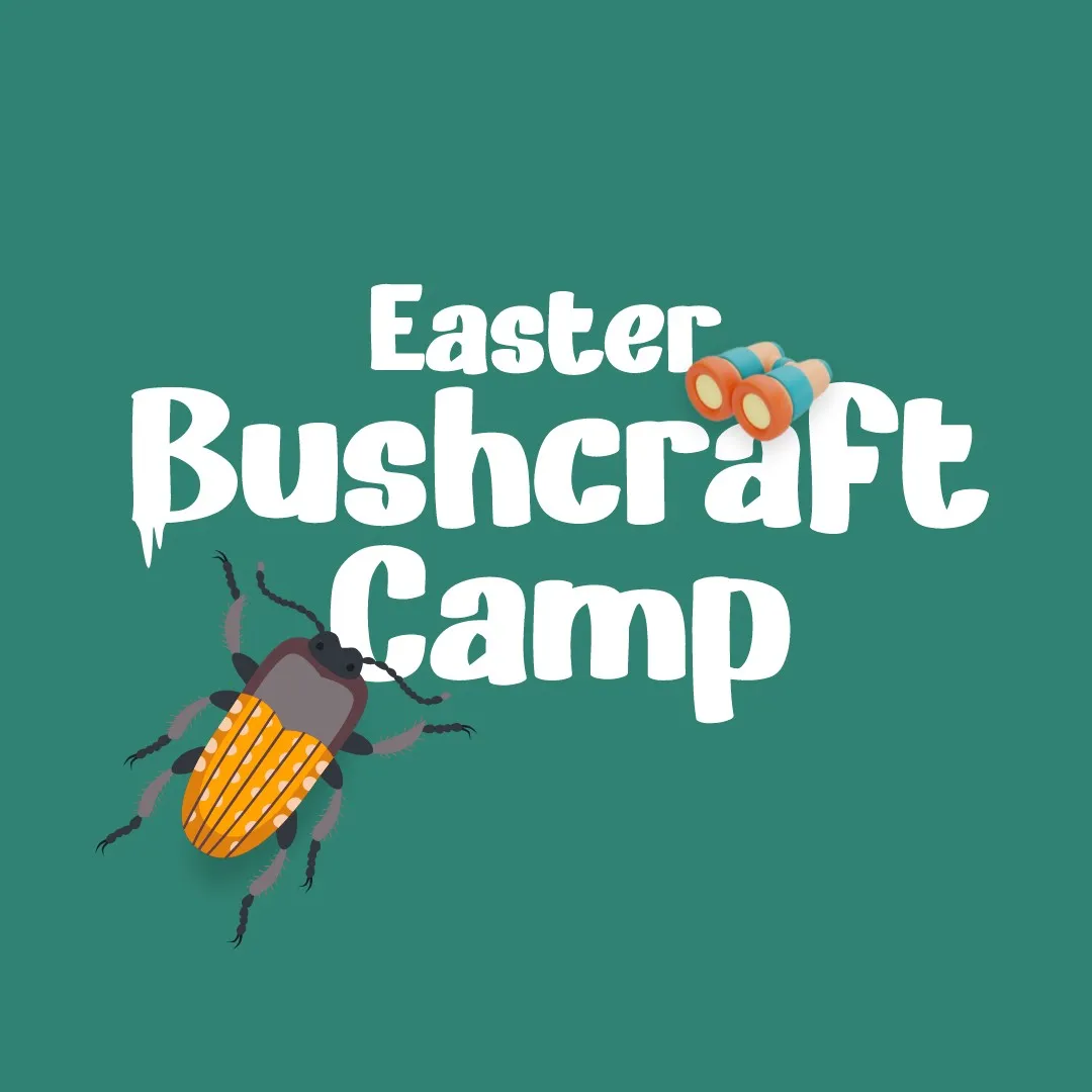 ISLA Academy — photo 3