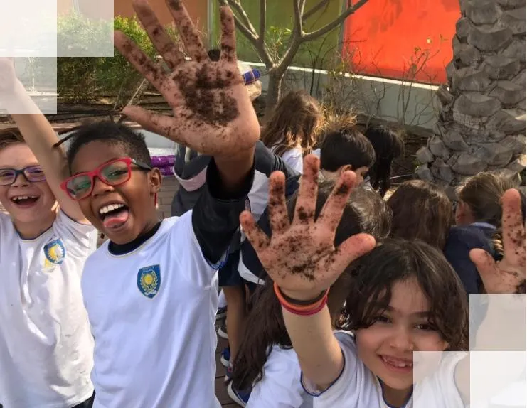 International Concept for Education — photo 1