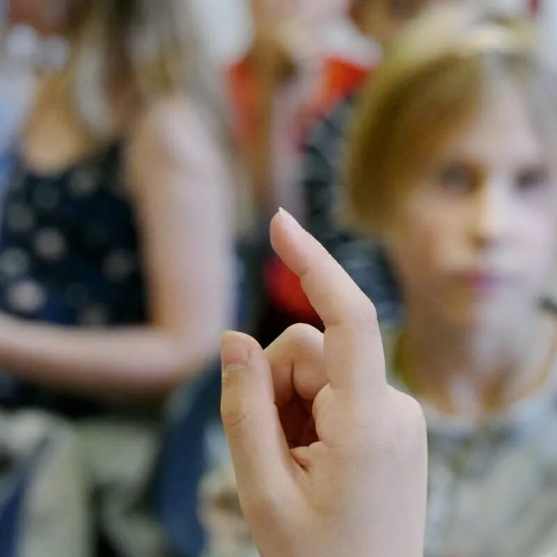 Sankt Petri Schule — photo 2