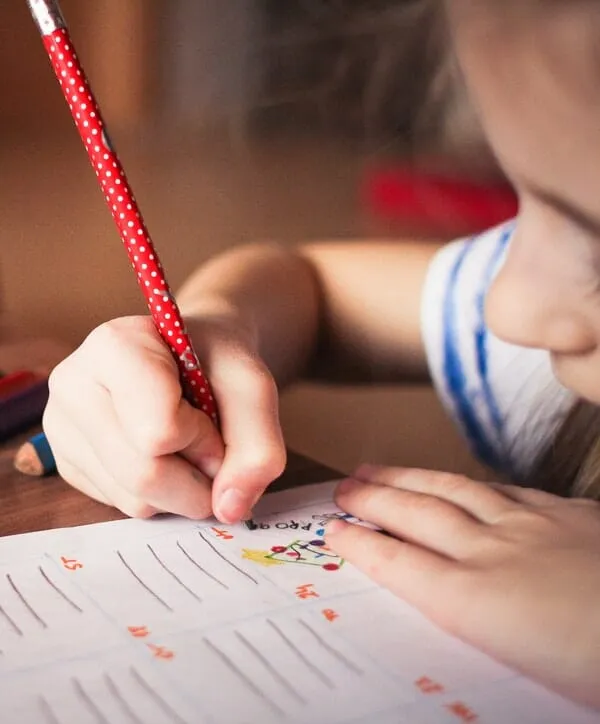 Sankt Petri Schule — photo 5