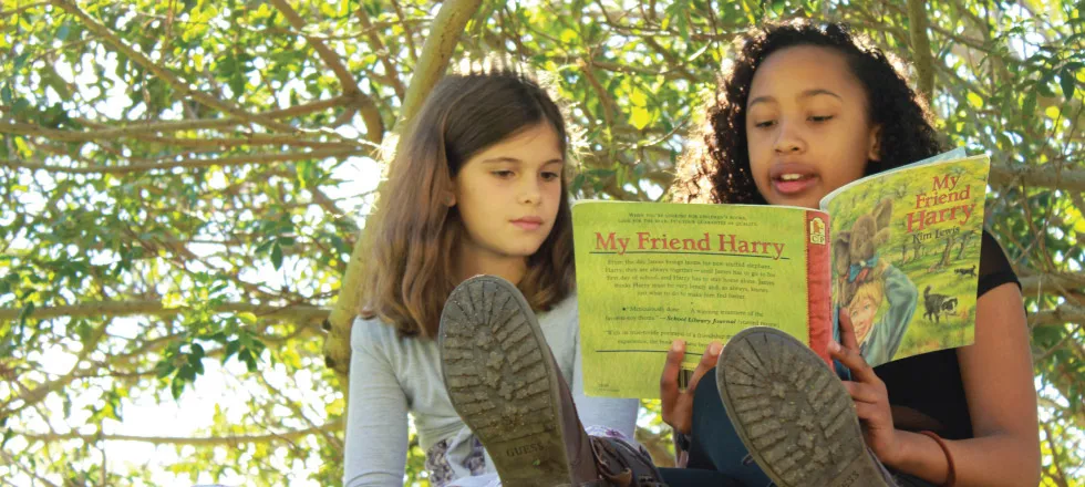 Constantia Waldorf School — photo 1