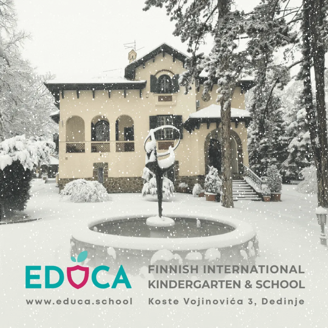 EDUCA International School — photo 4