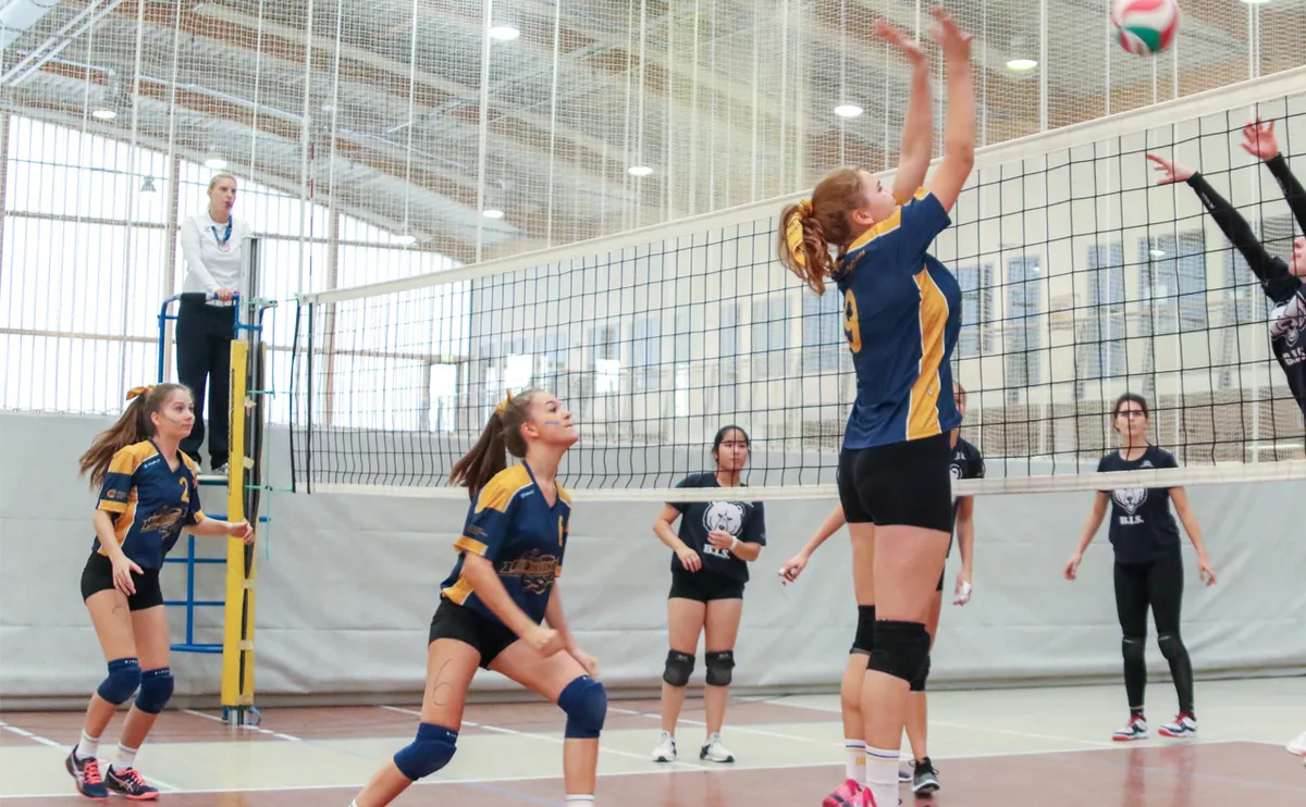 Dresden International School — photo 7