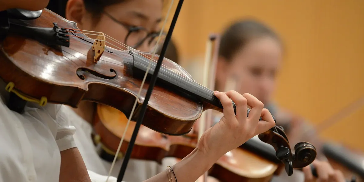 American International School Vienna — photo 7