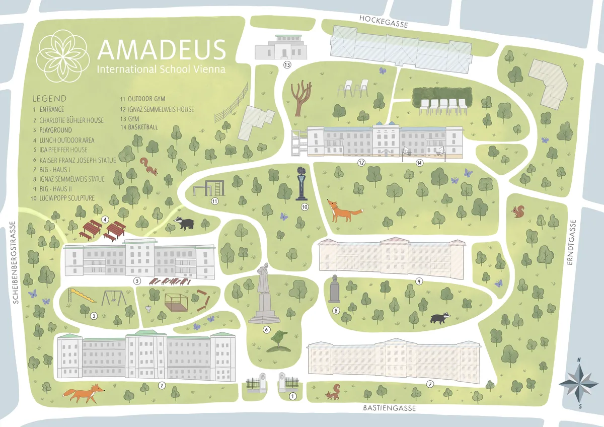 AMADEUS International School Vienna — photo 2
