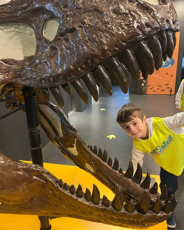 Lycée International Barcelona Bon Soleil — photo 7