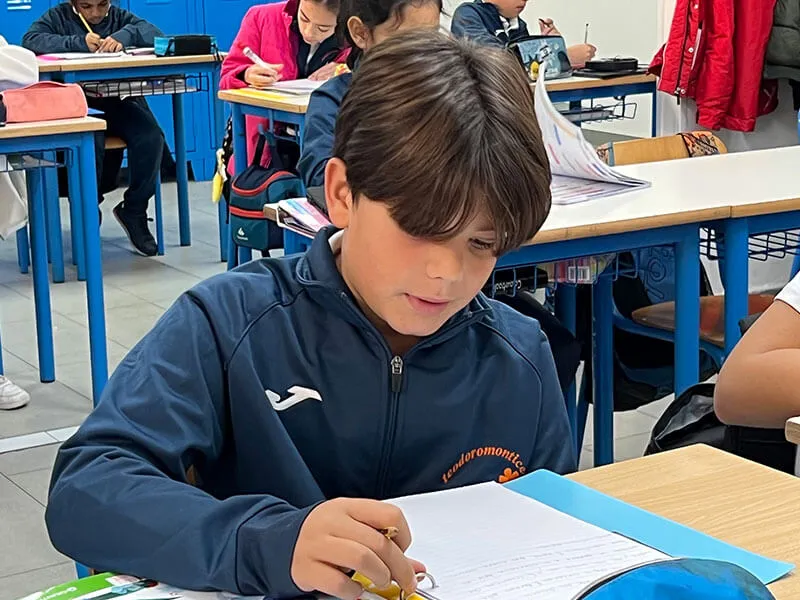 Teodoro Monticelli International School