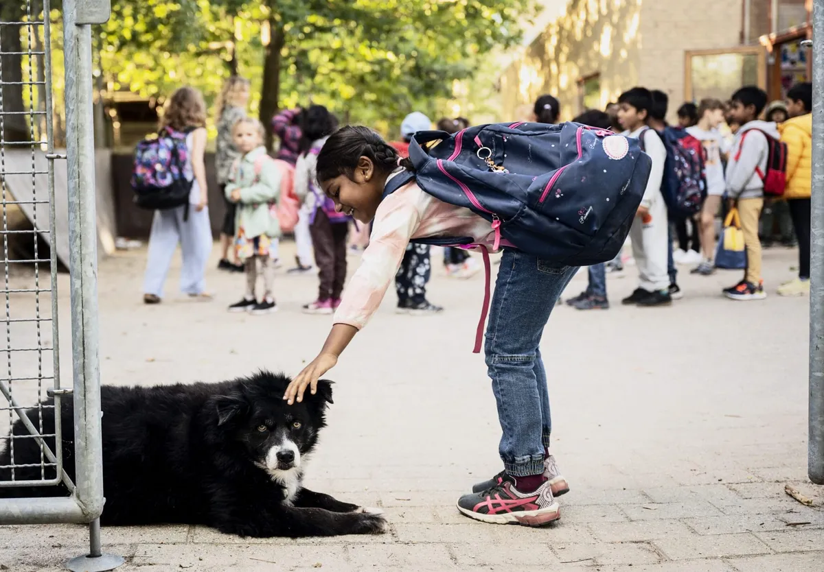 Viking International School — photo 1