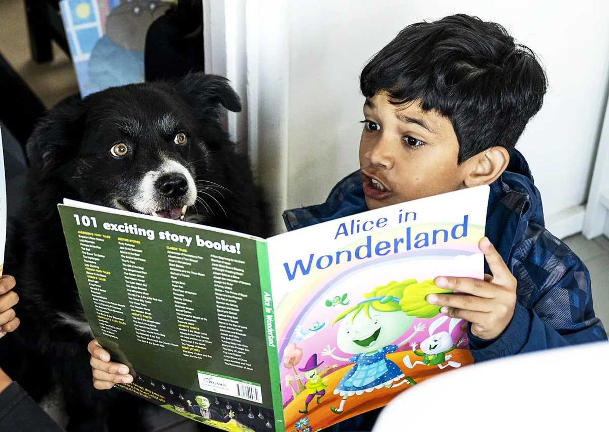 Viking International School — photo 2