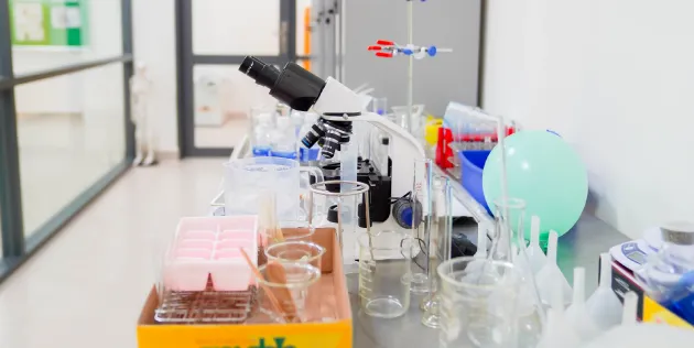 Royal School — photo 5