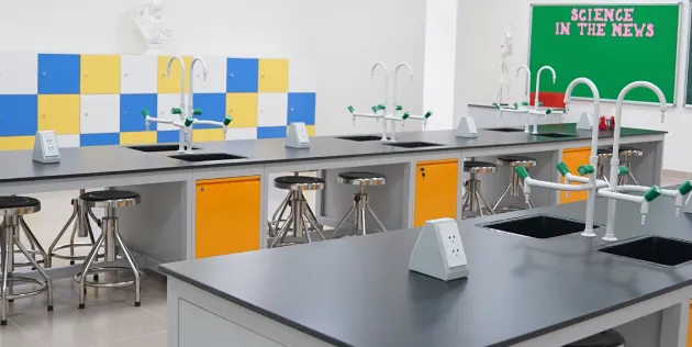 Royal School — photo 6