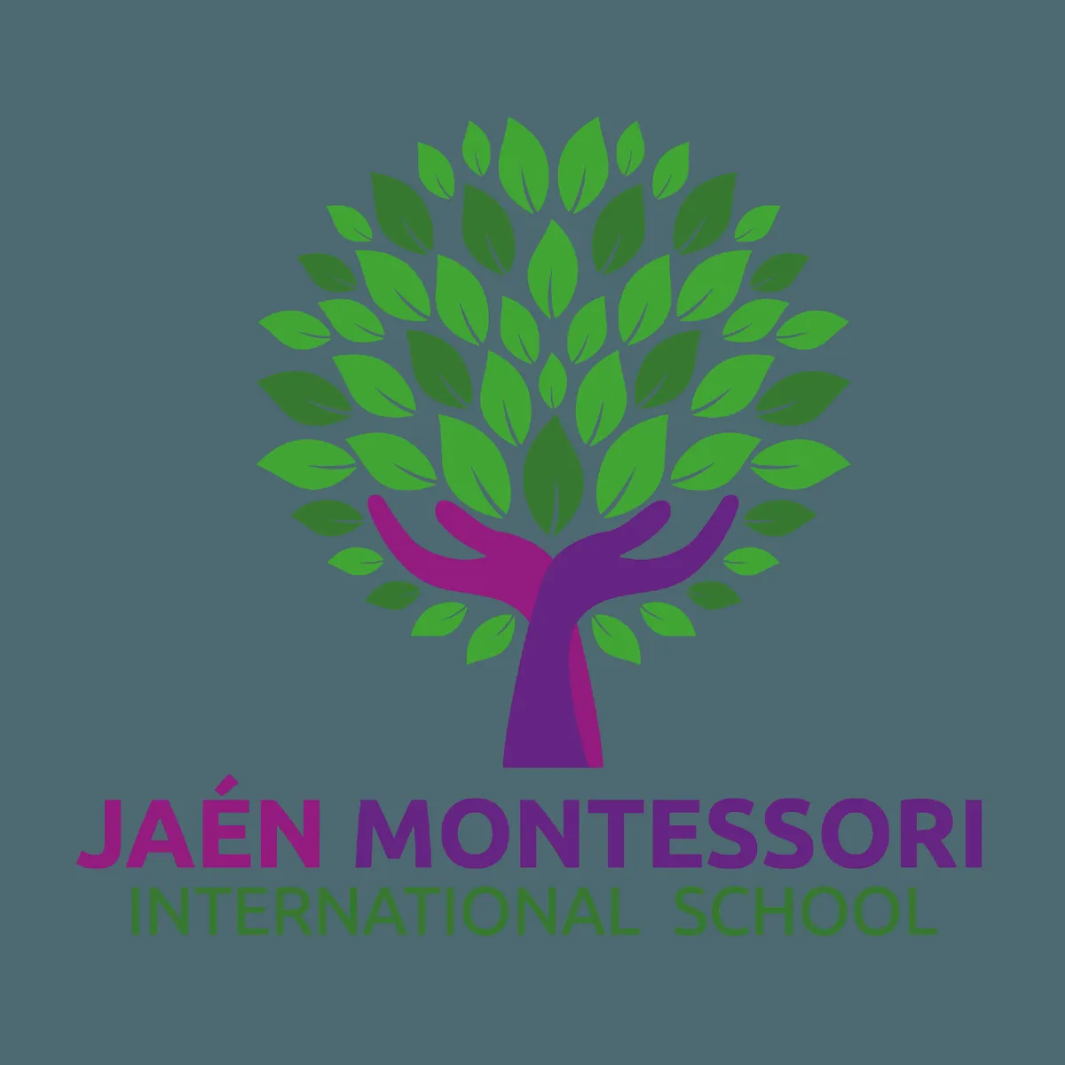 Jaén Montessori International School