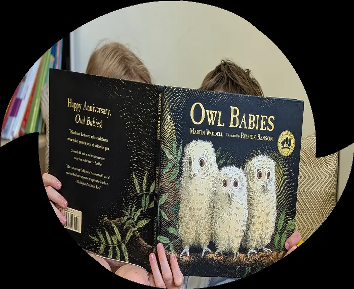 Bim School — photo 2