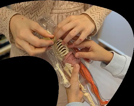 Bim School — photo 4