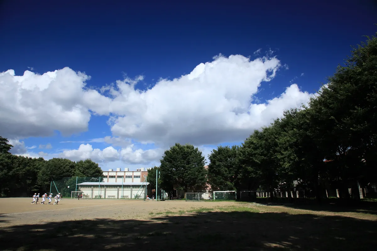 Tokyo Gakugei University International Secondary School