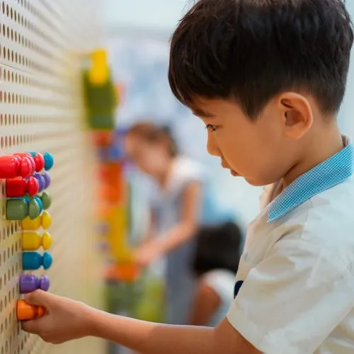 Discovery Mind — photo 5