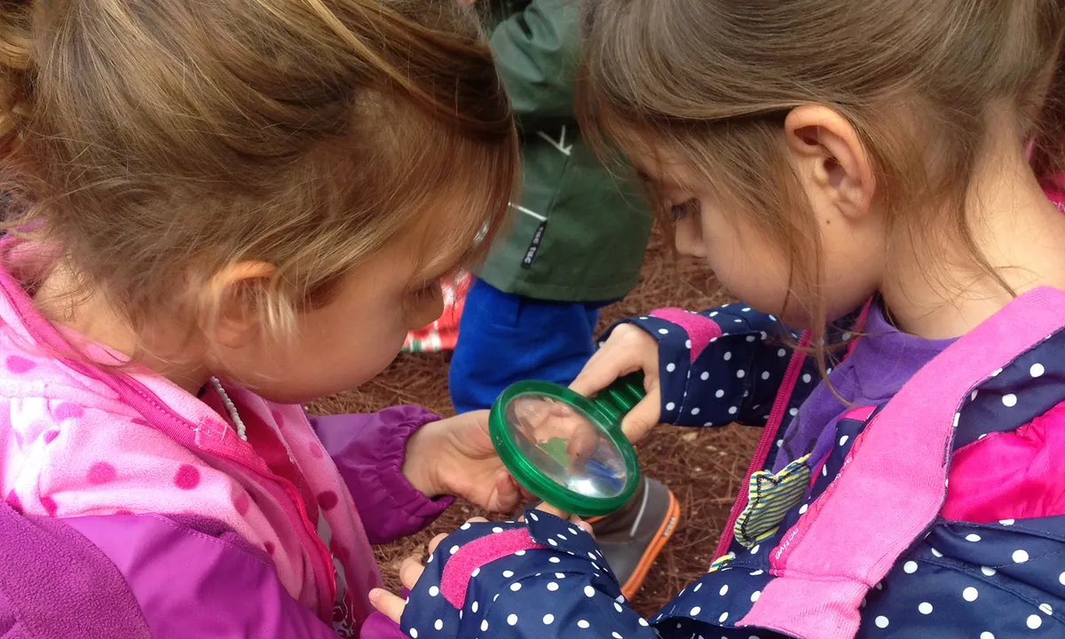 Isikkent Egitim Kampusu — photo 4