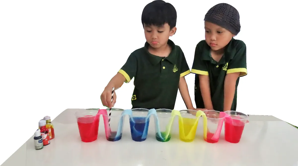 Miftah An-Nur Islamic School — photo 3