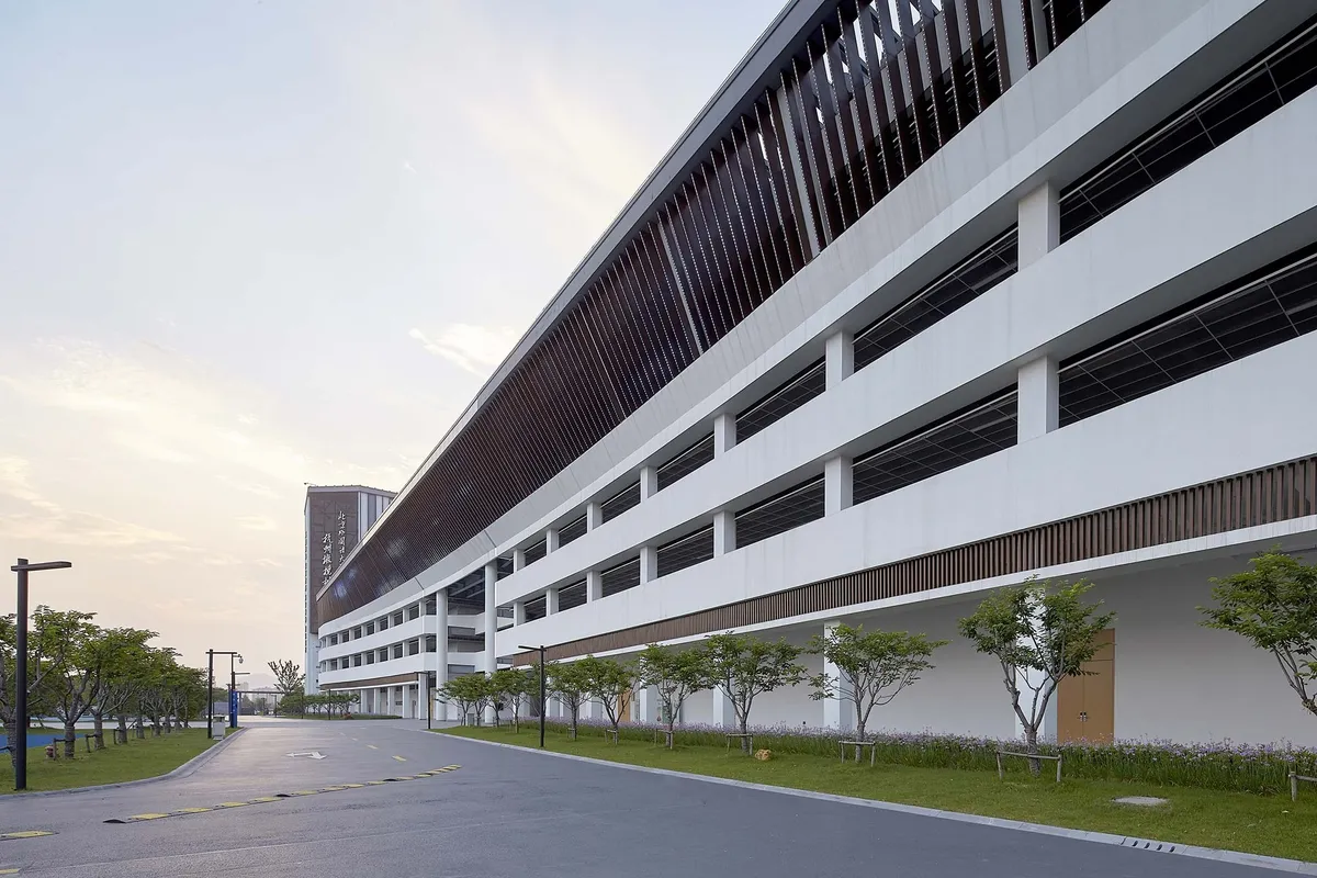 Olive Tree International Academy