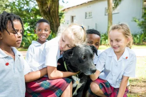 Canterbury Preparatory School — photo 3