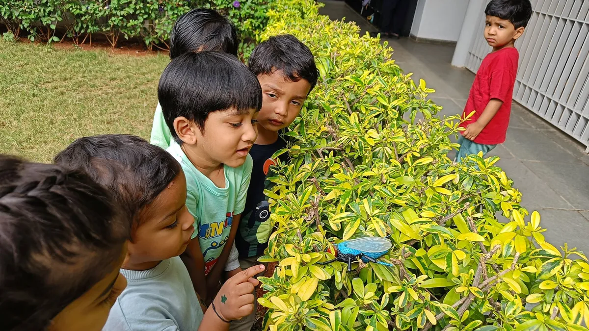 Neev Academy — photo 2