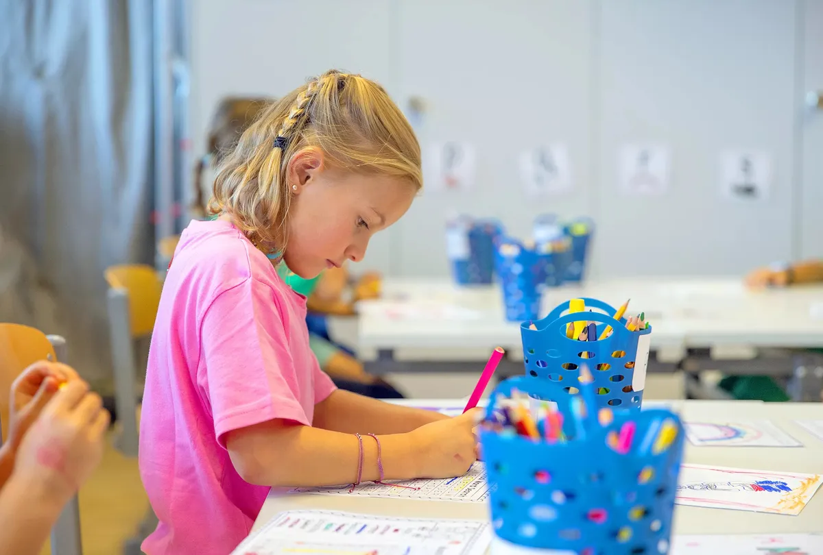 International School Lausanne — photo 4