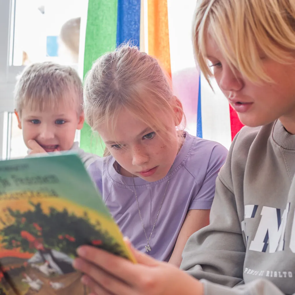 Colegio Finlandés — photo 2