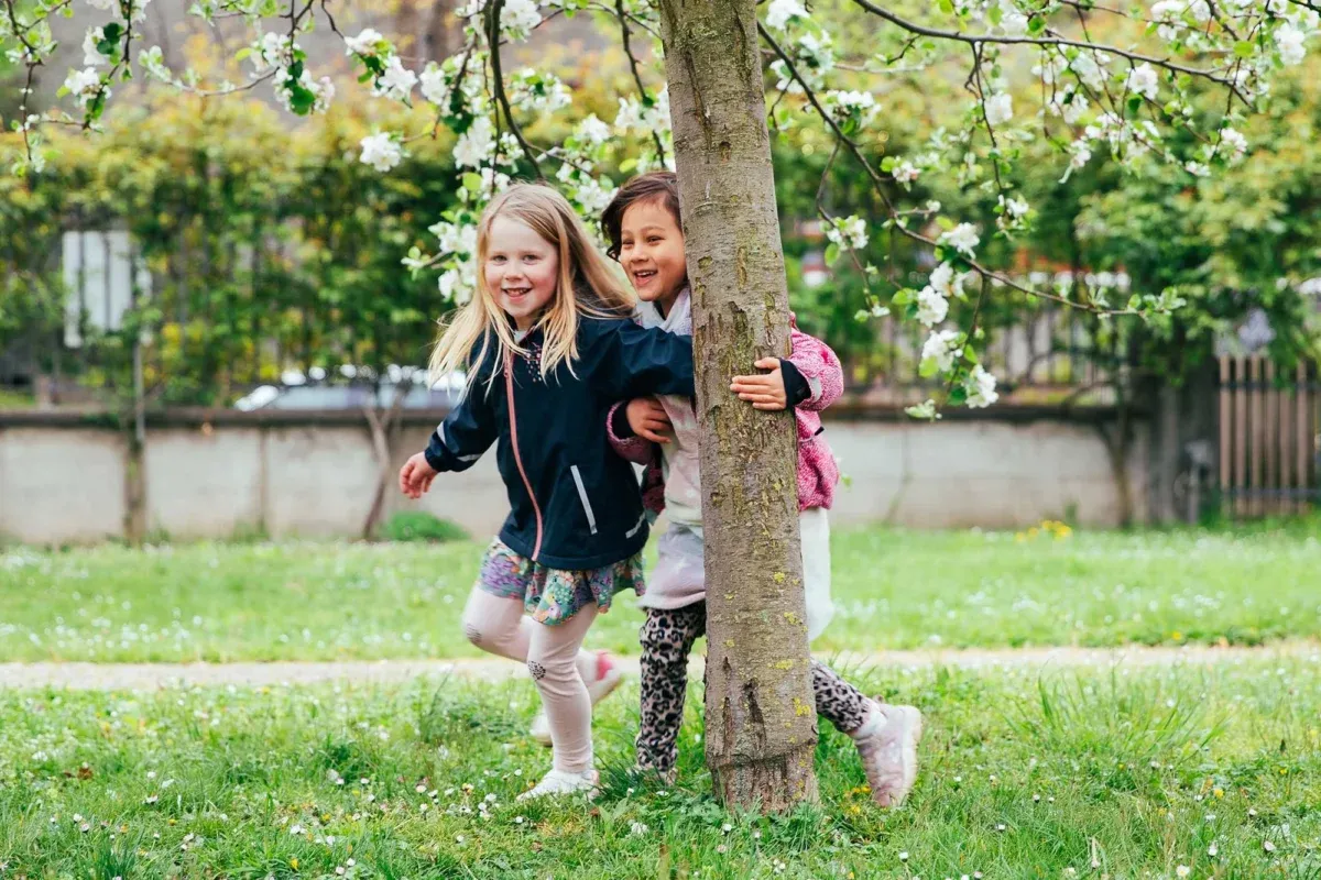 Academia International School Winterthur — photo 1