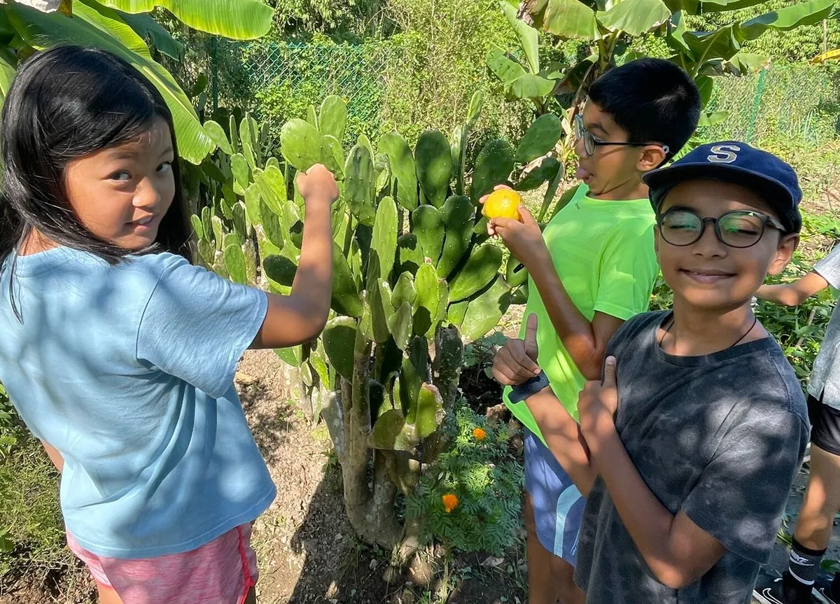 The Straits Waldorf School