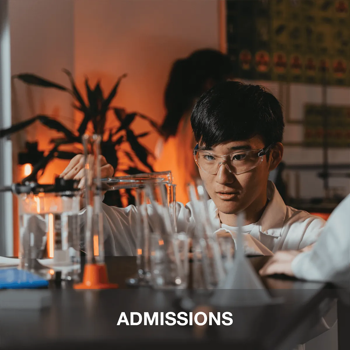 International School of Amsterdam — photo 5