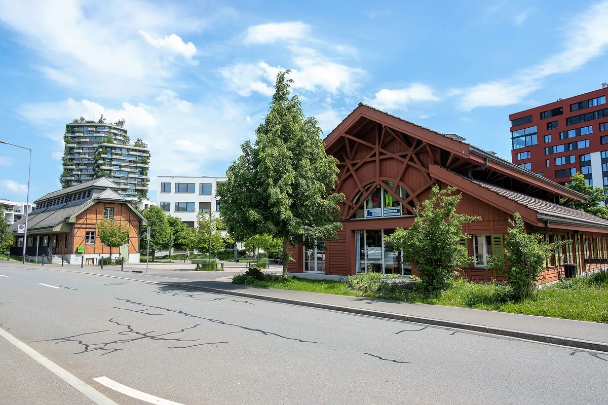 SIS Swiss International School Rotkreuz-Zug — photo 8