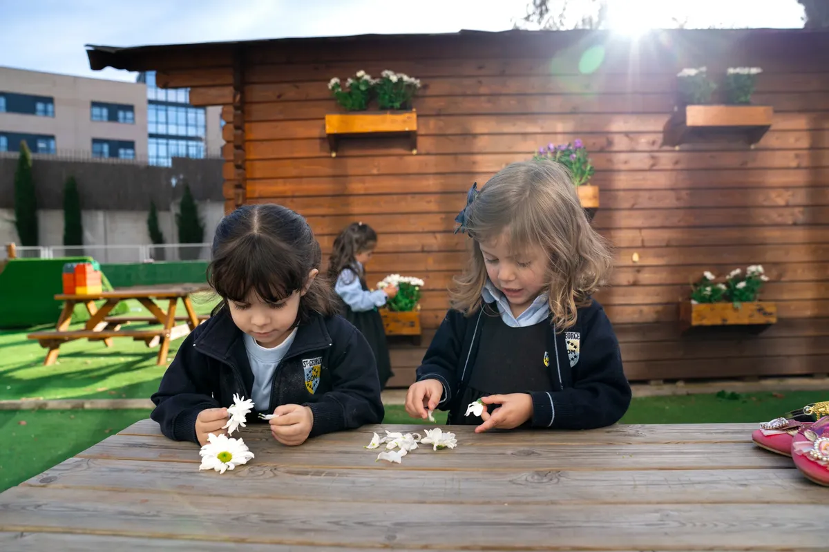 St. George Madrid — photo 6