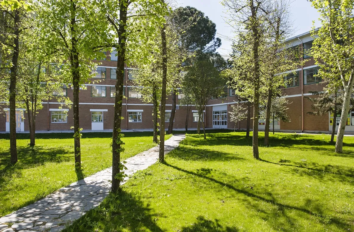 St. George Madrid — photo 8