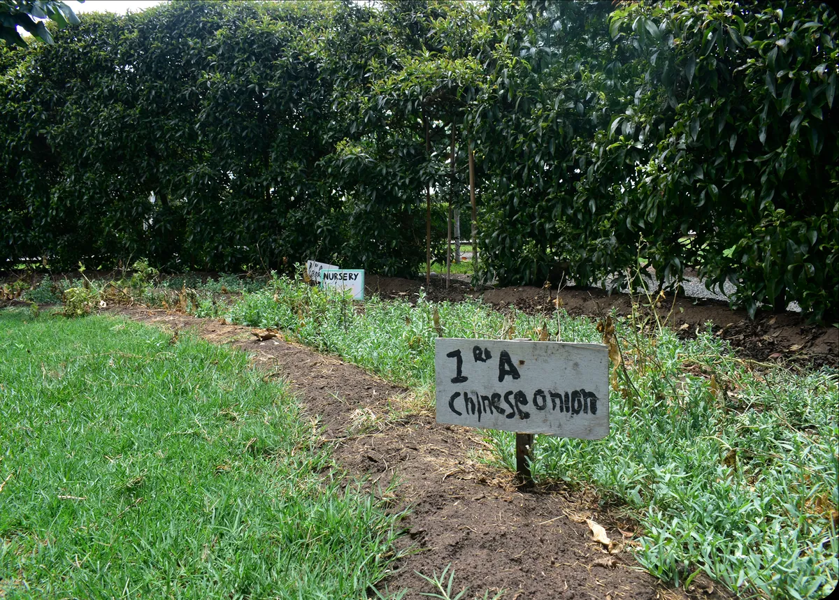 Nordic International School — photo 3