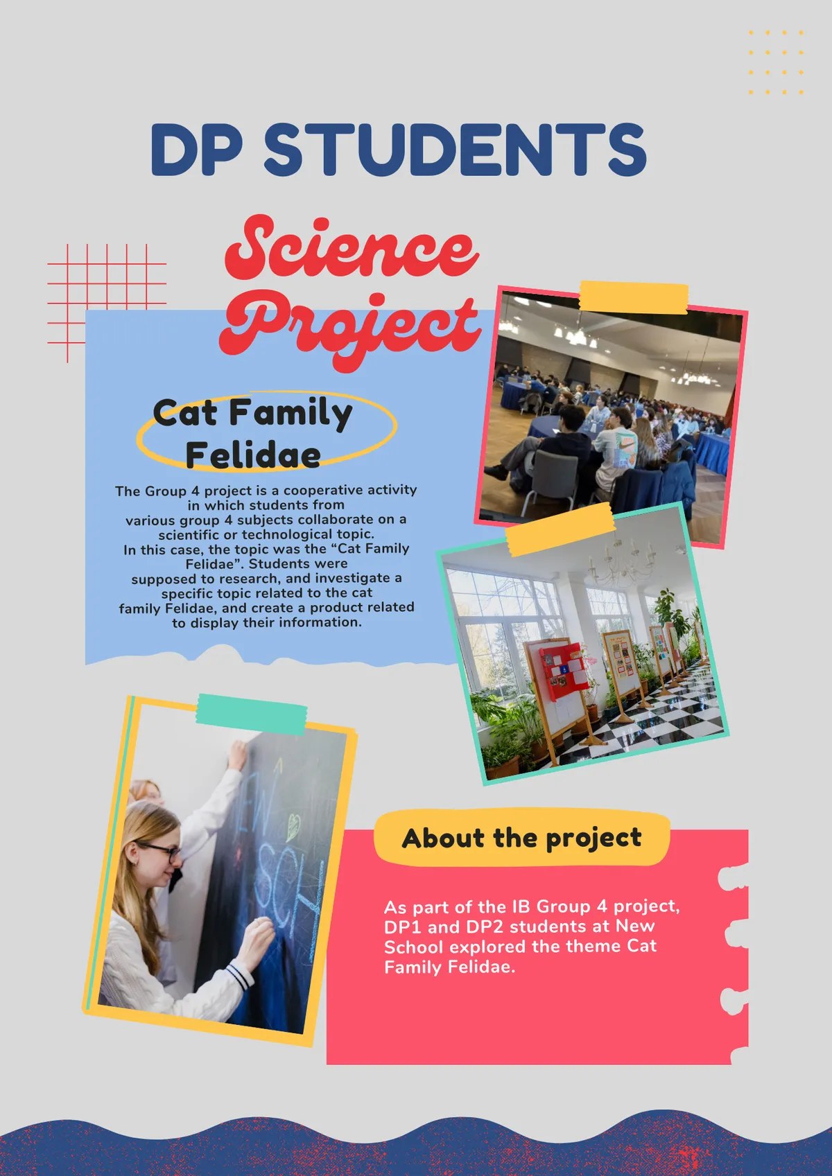 New School International School of Georgia — photo 8