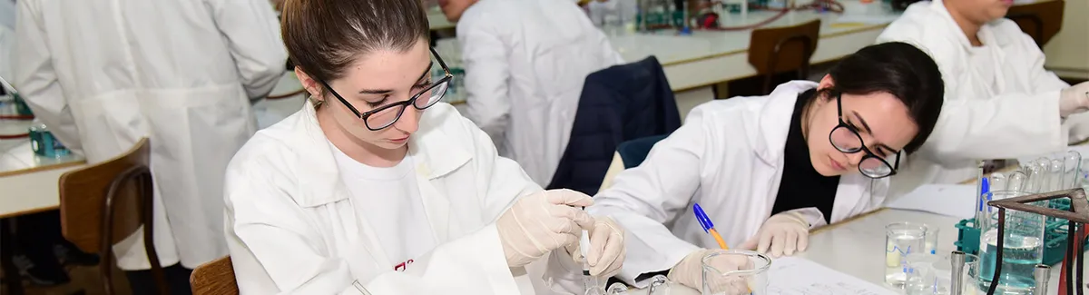 The New English School — photo 1