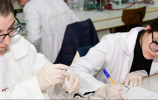 The New English School — photo 2