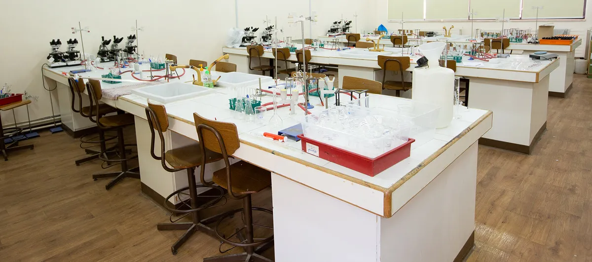 The New English School — photo 3