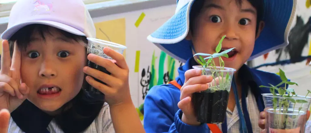 One World International School Osaka