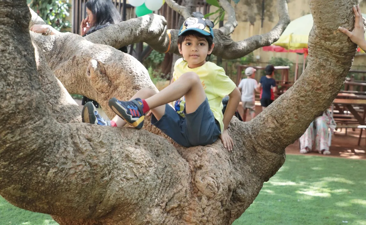 DSB International School — photo 6