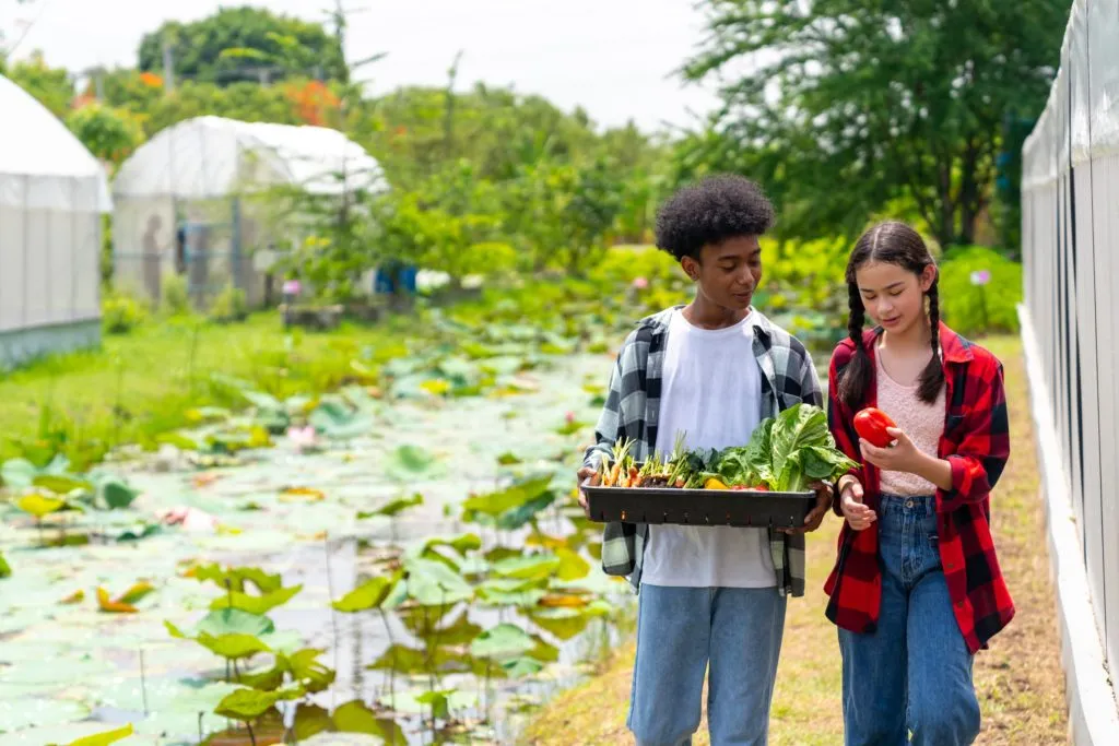 École Montessori Meyrin — photo 2