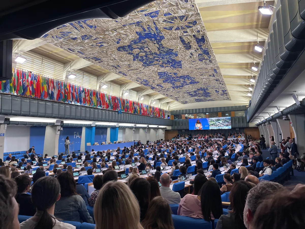 The International Montessori School — photo 6