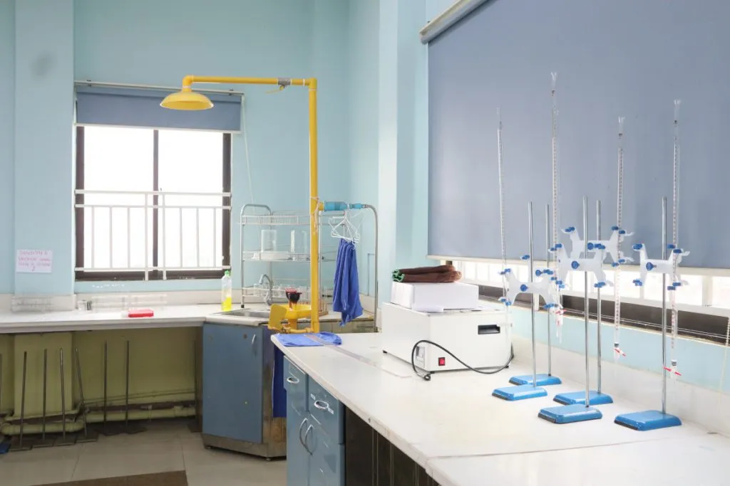 East-West International School — photo 5